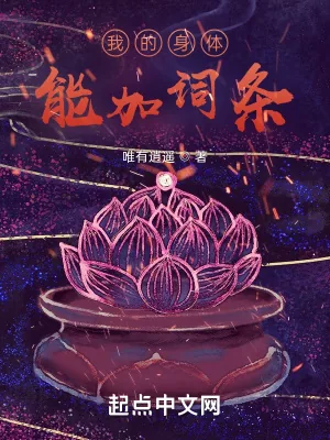 《我的身体能加词条》小说封面