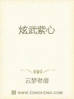 《炫武紫心》小说封面