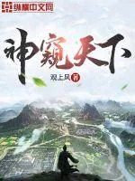 《神窥天下》小说封面