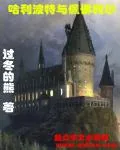 《哈利波特与佩佛利尔》小说封面