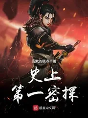 《史上第一密探》小说封面
