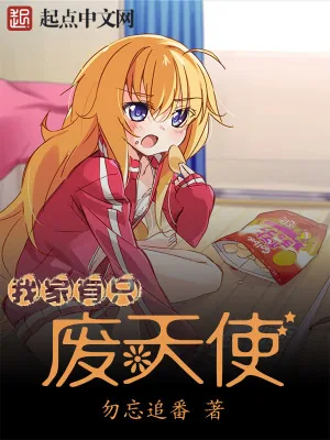 《我家有只废天使》小说封面