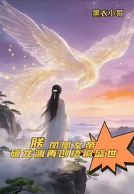 《朕凤凰，破龙渊创梧桐盛世》小说封面