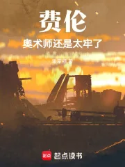 《费伦：奥术师还是太牢了》小说封面