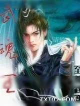 《武魂王》小说封面