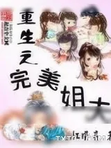 《重生之完美姐夫》小说封面