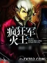 《疯狂军火王》小说封面