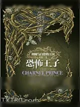 《荆棘与白骨的王国：恐怖王子》小说封面