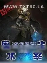 《奥术主宰》小说封面