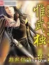 《惟武独尊》小说封面
