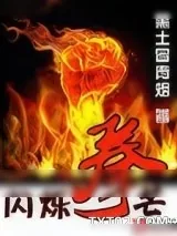 《闪烁拳芒》小说封面