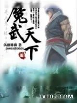 《魔武天下》小说封面
