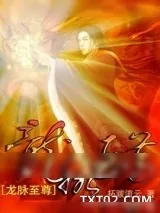 《龙脉至尊》小说封面