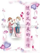 《随台风而来的爱情》小说封面