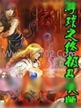 《落日》小说封面
