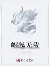 《崛起无敌》小说封面