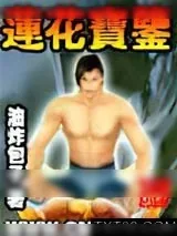 《葵花宝典》小说封面