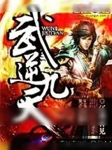 《武逆九天》小说封面