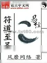 《符道至圣》小说封面