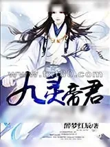 《九灵帝君》小说封面