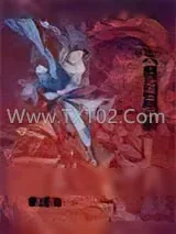 《天魔幻想录》小说封面