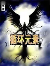 《循环元素》小说封面