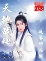 《天地战魂》小说封面