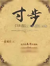 《寸步》小说封面