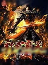 《神武霸灵》小说封面