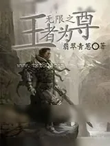 《无限之王者为尊》小说封面