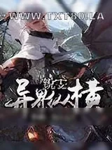《锐雯异界纵横》小说封面