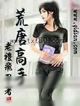 《荒唐高手》小说封面