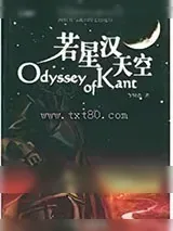 《若星汉天空》小说封面