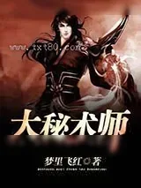 《大秘术师》小说封面