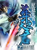 《葬天之君》小说封面
