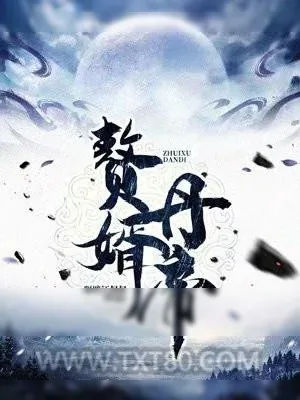 《赘婿丹帝》小说封面