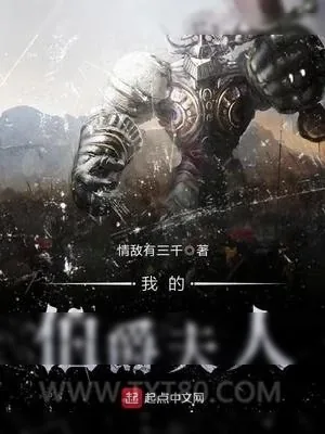 《我的伯爵夫人》小说封面