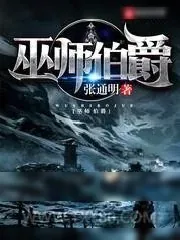 《巫师伯爵》小说封面