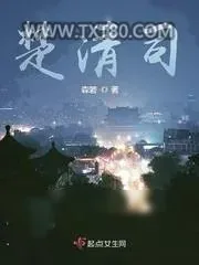 《楚清司》小说封面