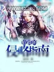 《伯爵的侵略指南》小说封面