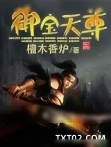 《御宝天尊》小说封面