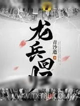 《龙兵回归》小说封面