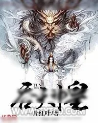 《吞天神皇》小说封面