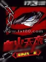 《血火天衣》小说封面