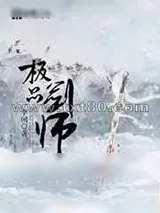 《极品剑师》小说封面