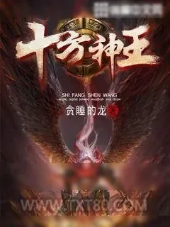 《十方神王》小说封面