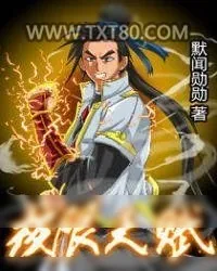 《极限天赋》小说封面