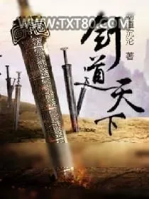《剑道天下》小说封面