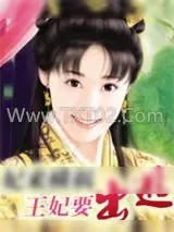 《妾室守则》小说封面