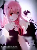 《你有看见我家使魔吗？》小说封面